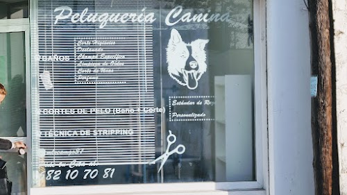 Peluqueria canina Lorena campos