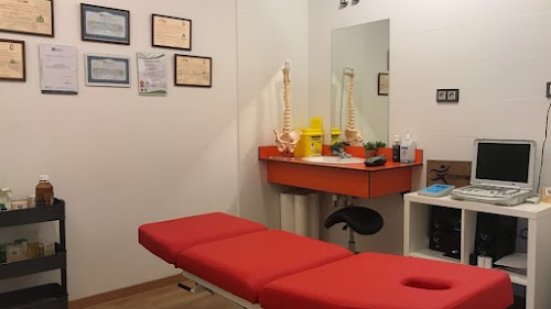 Miguel Crespo Fisioterapia