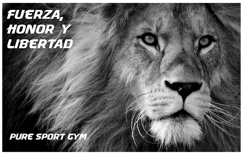 PURE SPORT GYM