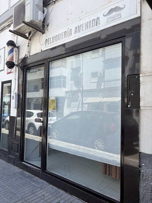 PELUQUERÍA AVENIDA